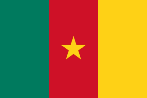 Flag Cameroon 3x5 ft - Printed
