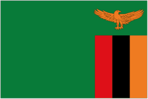Flag Zambia 3x5 ft - Printed