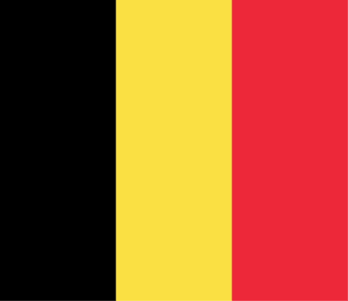 Flag Belgium 12x18 in - Printed