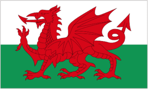 Flag Wales 5x8 ft - Printed