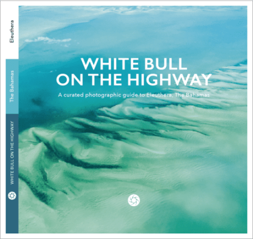 White Bull On The Highway