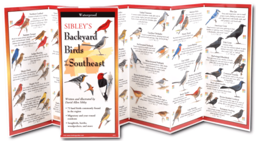 Backyard Birds Of The Southeast Folded Guide