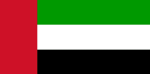 Flag UAE United Arab Emirates 12x18 in - Cotton