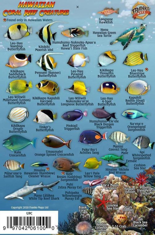 Franko Hawaiian Islands Mini Fish Card