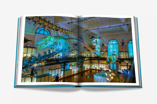 Assouline Monte Carlo - Image 3
