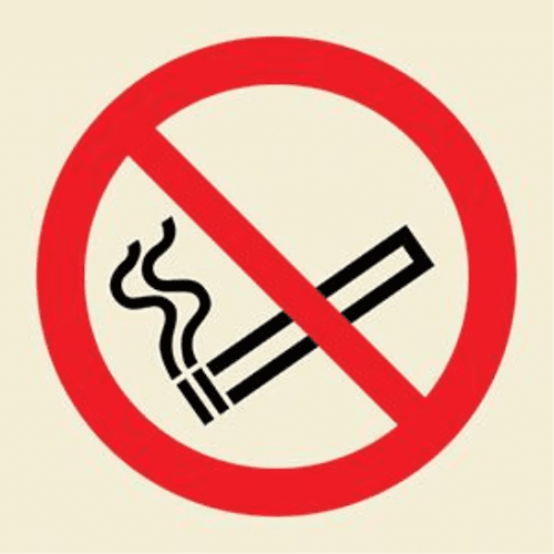 No Smoking Sign 50MM X 50MM Vinyl