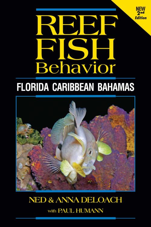 Reef Fish Behavior: Florida Caribbean Bahamas 2nd Edition