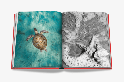 Assouline St. Barths Freedom - Image 2