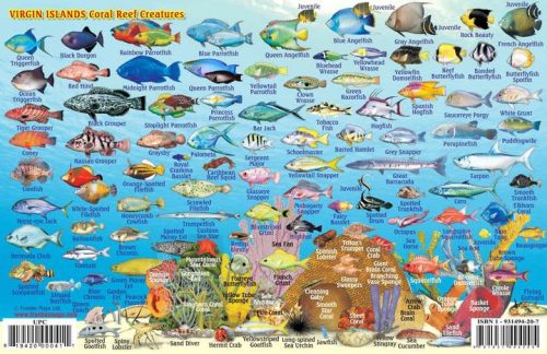 Franko US & British Virgin Islands Mini Fish Card