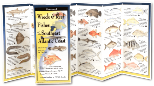 Wreck & Reef Fishes Of Southeast Atlantic Coast Folded Guide