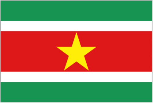 Flag Suriname 12x18 in - Printed