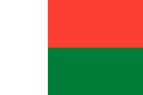 Flag Madagascar 12x18 in - Printed