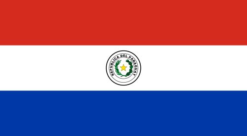 Flag Paraguay 12x18 in - Printed